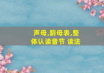 声母,韵母表,整体认读音节 读法